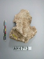 藏品(大砝碼型石網墜)的圖片